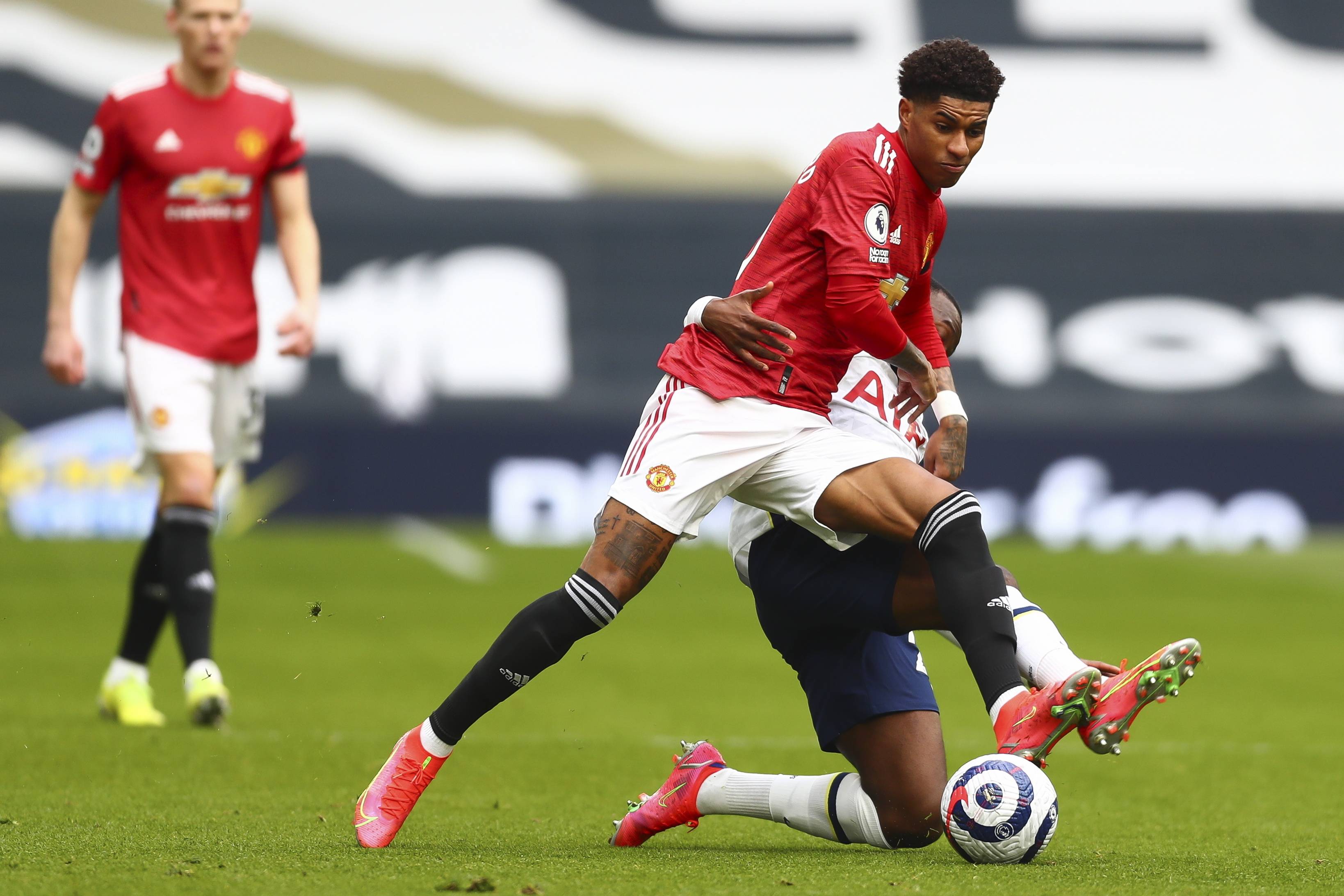 得出的结论 得出的结论